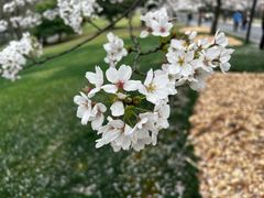 -上海辰山植物园