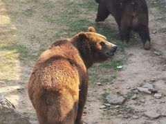 -无锡动物园·太湖欢乐园