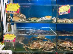 -蚝专家(北滘店)