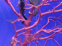 -多彩贵州城极地海洋世界