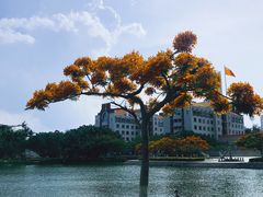 -东苑餐厅(厦门大学店)