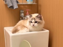 -瑞派康怡24h宠物医院·犬猫医疗中心·微创绝育(瑞景分院)