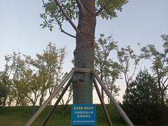 -西安世博园