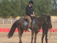 -北京群众马术培训基地