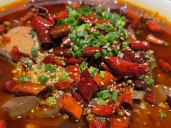 -向川南·水煮鱼·川菜(和平里店)