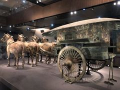 -秦始皇帝陵博物院-丽山园