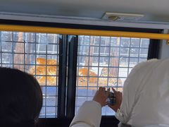 -横道河子东北虎林园