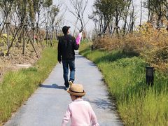 -春花秋色城市公园