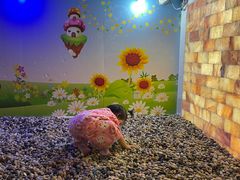 -极乐汇汗蒸会馆(杭州店)