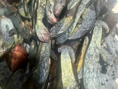 -菌之家·专业纯野生菌火锅·特色炒菌