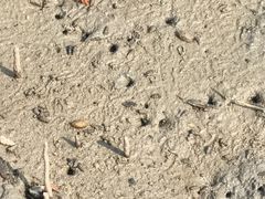 -北海金海湾红树林生态旅游区