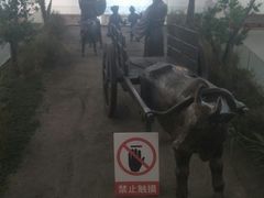 -皖西博物馆
