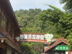 -野象谷景区