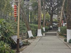 -杭州黄龙洞