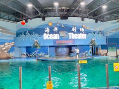 -苏州海洋馆