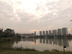-美的鹭湖森林度假区