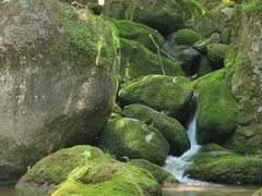-小陇山国家森林公园桃花沟景区