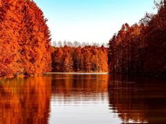 -上海海湾国家森林公园