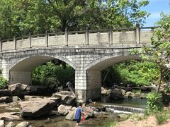 -重庆彩云湖湿地公园