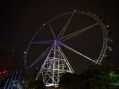 -锦江乐园舞狸花花游园会(夜场专享)