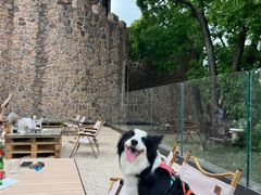 -J Create城市露营咖啡·简餐·宠物(上海动物园店)