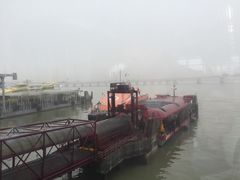 -信德中旅船务管理有限公司