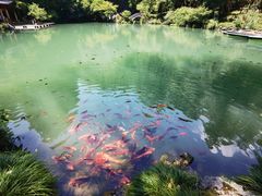 -灵栖洞天
