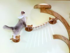 -猫和宫(六道口店)