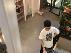 -松果猫咖(桐乡吾悦金街店)