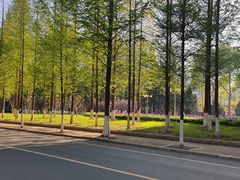 -大连理工大学(凌水校区)