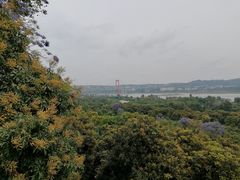 -张坝桂圆林公园