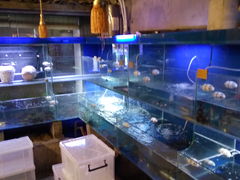 -德叔阙里·衢州菜馆(月湖店)