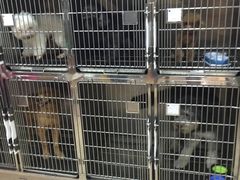 -芭比堂动物医院·24小时·眼科中心(深圳中心)