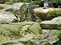 -山沟沟景区
