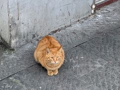 -猫的天空之城概念书店(杭州南宋御街店)