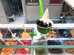 -Salud撒露欧洲冻酸奶(北苑上品店)