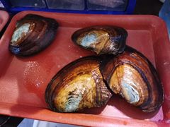 -十八字金·银饰·拼豆·开蚌DIY(魏公芳华里店)