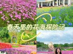 -南宁南湖公园