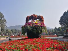 -东南花都花博园