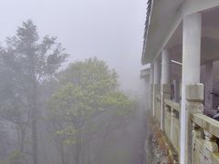 -梧桐山风景名胜区