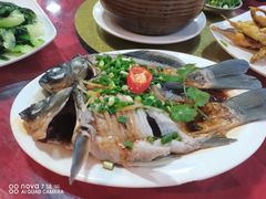 先鲜鲫鱼粥-先鲜鲫鱼粥