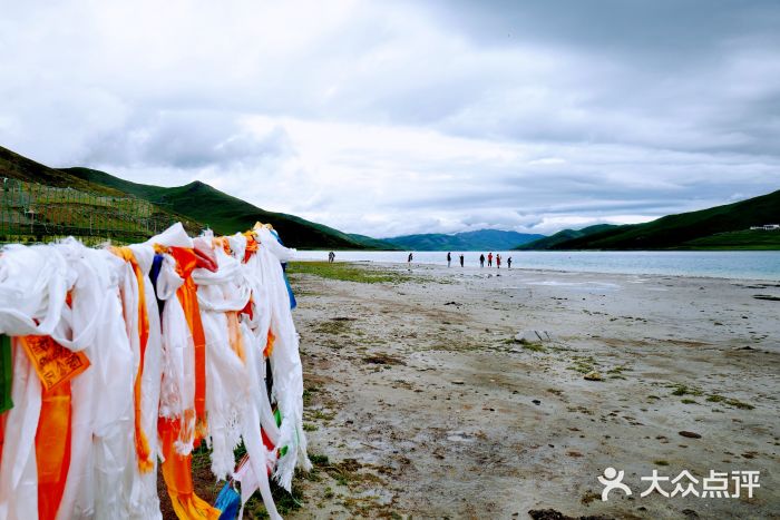 羊卓雍措图片