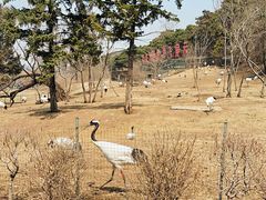 -沈阳森林动物园