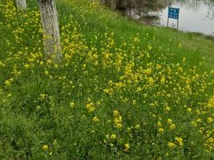 -艾溪湖湿地公园