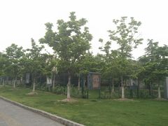 -七宝老街-闵行市民文化广场