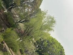 -范蠡湖公园