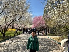 -国家植物园南园