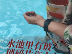 -青岛东方影都融创水世界