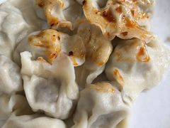 酸菜猪肉饺子-祝家饺子馆