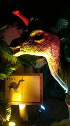 -恐龙探索乐园(磁器口店)